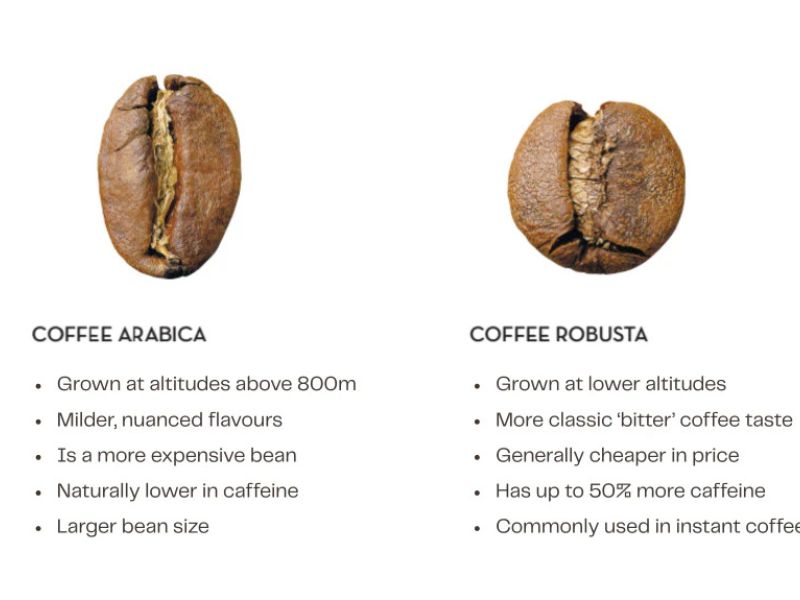 Nutritional comparison of two types of coffee beans