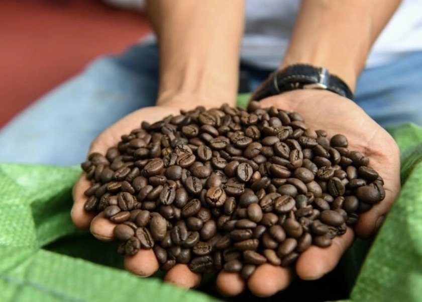 Robusta Beans are the soul of most coffees in Vietnam.