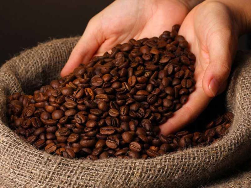 Quality Robusta coffee beans in Vietnam