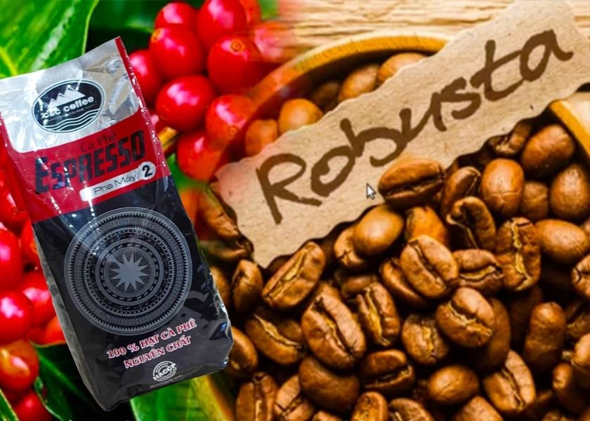 Robusta beans are considered the finest in the world