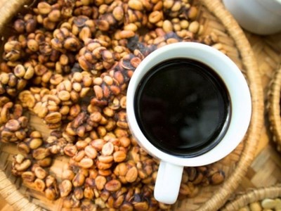 Vietnamese Weasel Coffee: Guide to Price, Taste & Finding The Real Deal